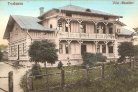 Pomnik przyrody “Płaczący buk”